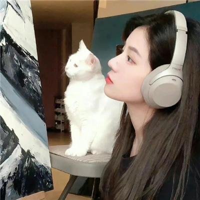鳄之泪